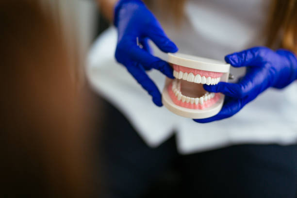 Reliable Nash, TX  Holistic Dental Services Solutions
